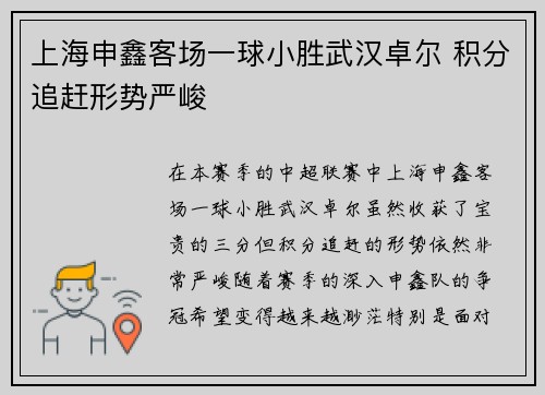 上海申鑫客场一球小胜武汉卓尔 积分追赶形势严峻